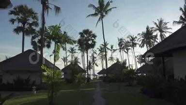 相机穿过热带海洋酒店的领地，在阳光明媚的一天，位于棕榈树林中的邦加